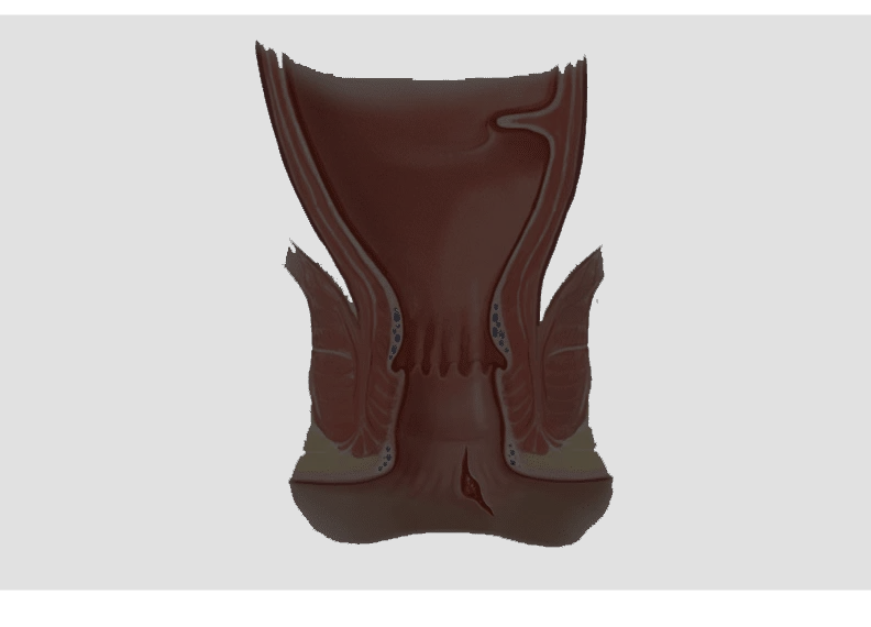 bg_img_services_block4_0u